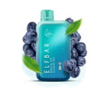 ELF BAR RAYA D1 – Blueberry Mint - Vape Shop Manali VapeshopManali