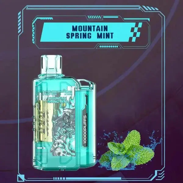 IGET FLARE B10000 – Mountain Spring Mint - Vape Shop Manali VapeshopManali