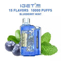 IGET FLARE B10000 – Blueberry Mint - Vape Shop Manali VapeshopManali
